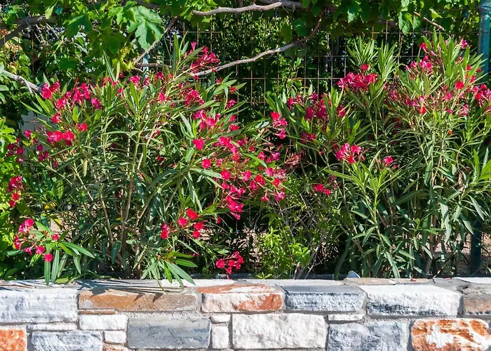 Viglaki House Βίλα *